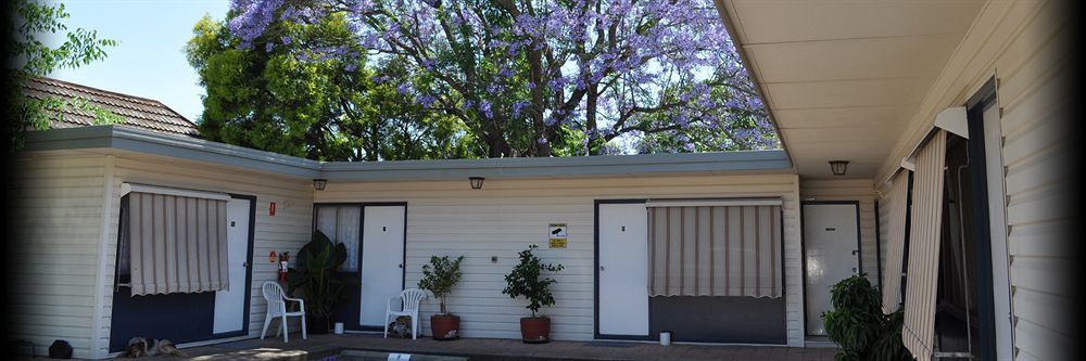 Red Cedar Motel Muswellbrook Exterior foto